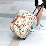 Sac De Voyage Cabine Avion A Roulettes